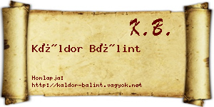 Káldor Bálint névjegykártya